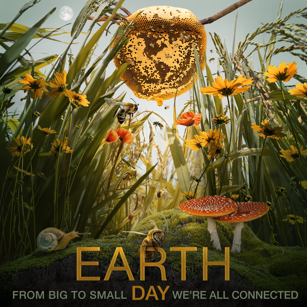 NASA Celebrates Earth Day Week Connecticut Space Grant Consortium